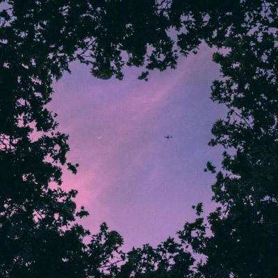 569vip威尼斯游戏