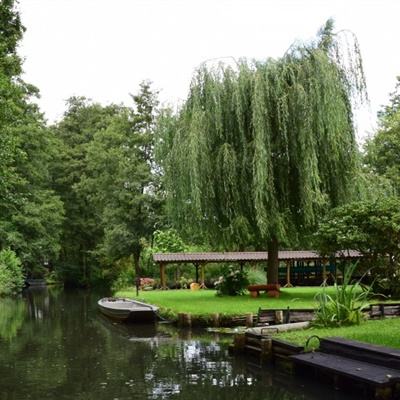 BSport·APP在线登录手机app下载