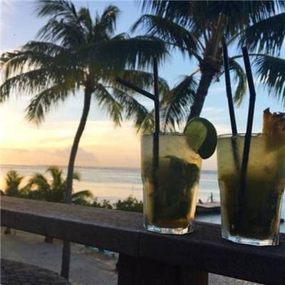 KU体育BET9注册截图