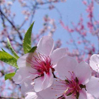 kaiyun·体育app下载